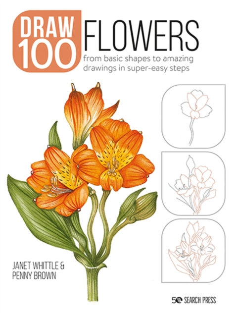 E-kniha Draw 100: Flowers Janet Whittle