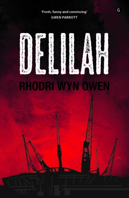E-knjiga Delilah Rhodri Wyn Owen