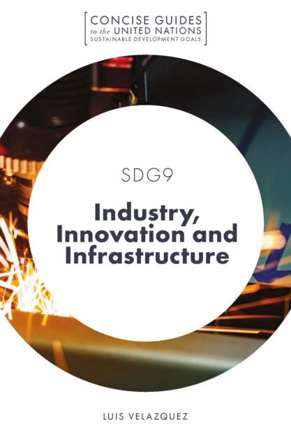 E-Book SDG9 - Industry, Innovation and Infrastructure Luis Velazquez