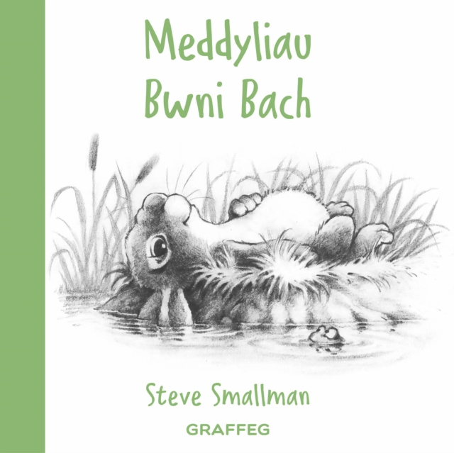 E-kniha Meddyliau Bwni Bach Steve Smallman
