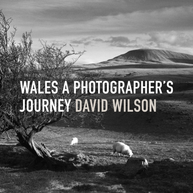 E-book Wales David Wilson