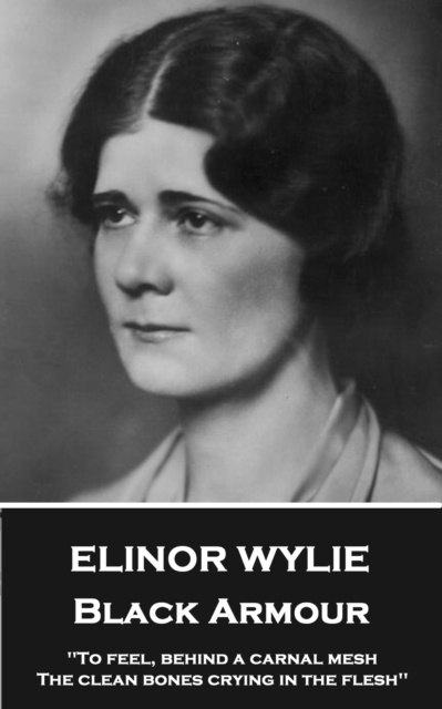 E-book Black Armour Elinor Wylie