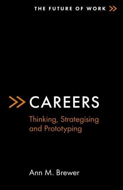 E-knjiga Careers Ann M. Brewer