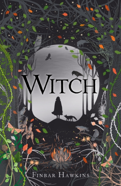 E-book Witch Finbar Hawkins