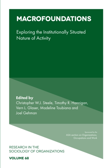 E-knjiga Macrofoundations Christopher W.J Steele