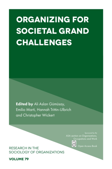 E-Book Organizing for Societal Grand Challenges Ali Aslan Gumusay