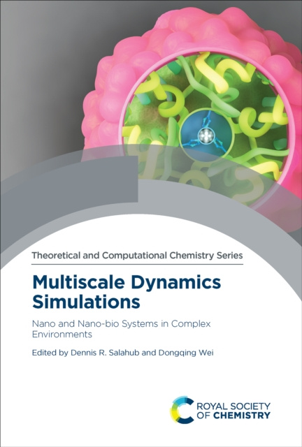 E-kniha Multiscale Dynamics Simulations Dennis R. Salahub