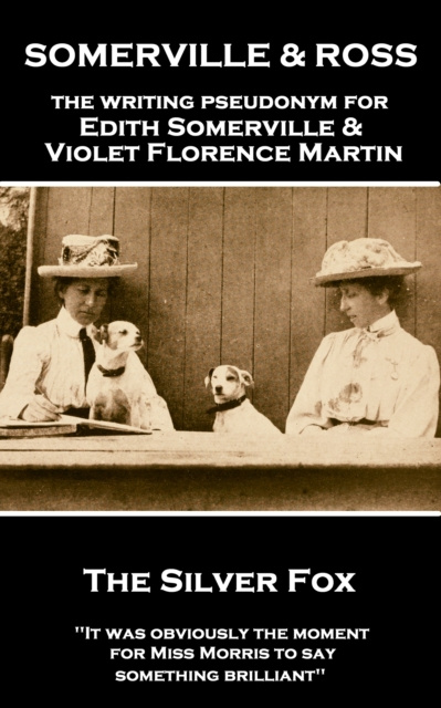 E-book Silver Fox Edith Somerville