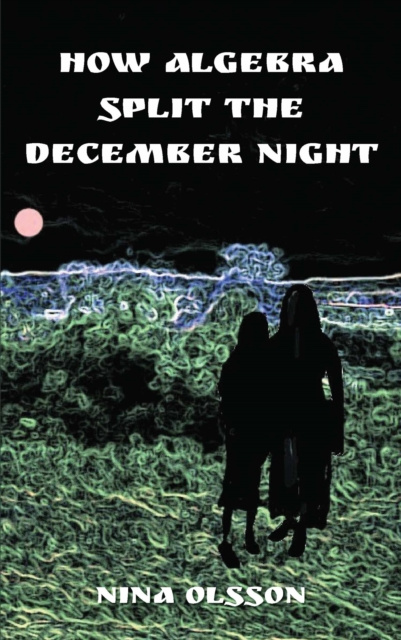 E-Book How Algebra Split the December Night Nina Olsson