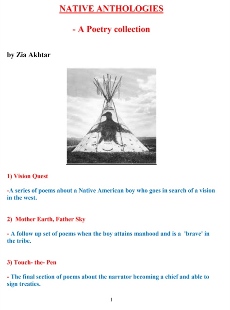 E-knjiga Native Anthologies Zia Akhtar