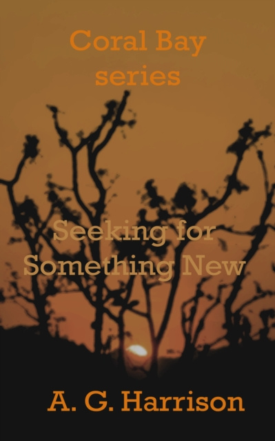 E-knjiga Seeking for Something New A. G. Harrison