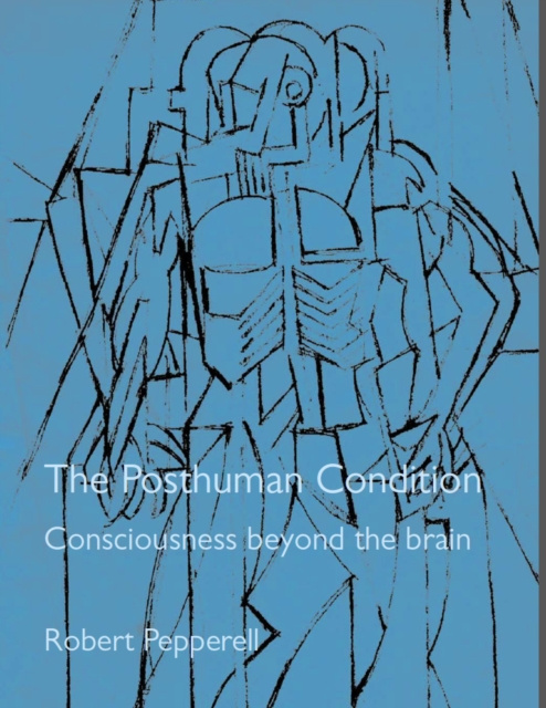 E-knjiga Posthuman Condition Julian Pepperell
