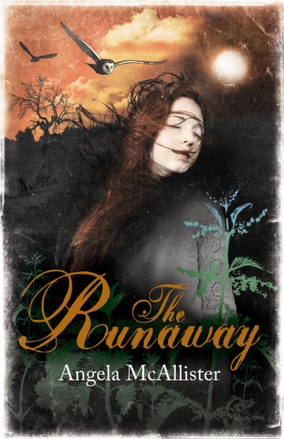 E-knjiga Runaway Angela McAllister