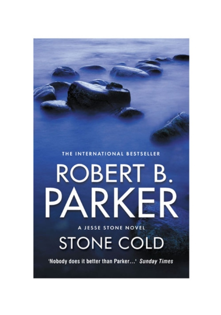 E-knjiga Stone Cold Robert B Parker