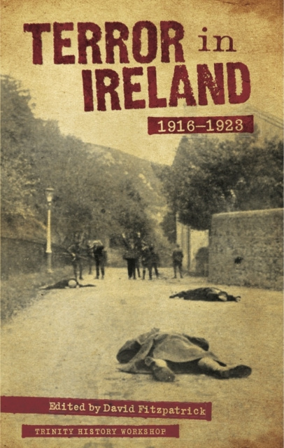 E-kniha Terror in Ireland 1916-1923 David Fitzpatrick