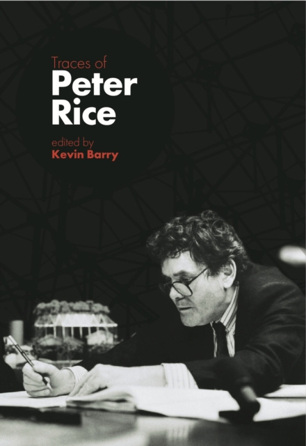 E-kniha Traces of Peter Rice Kevin Barry