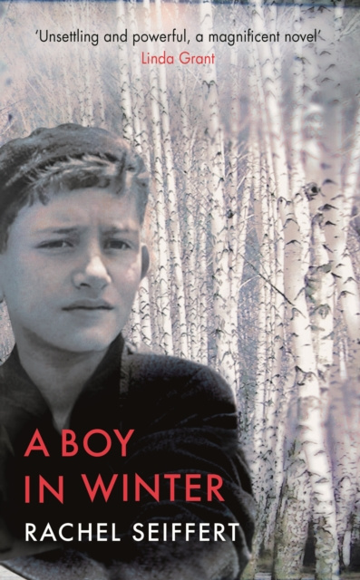 E-knjiga Boy in Winter Rachel Seiffert