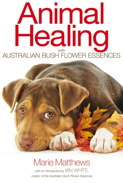 E-kniha Animal Healing with Australian Bush Flower Essences Marie Matthews