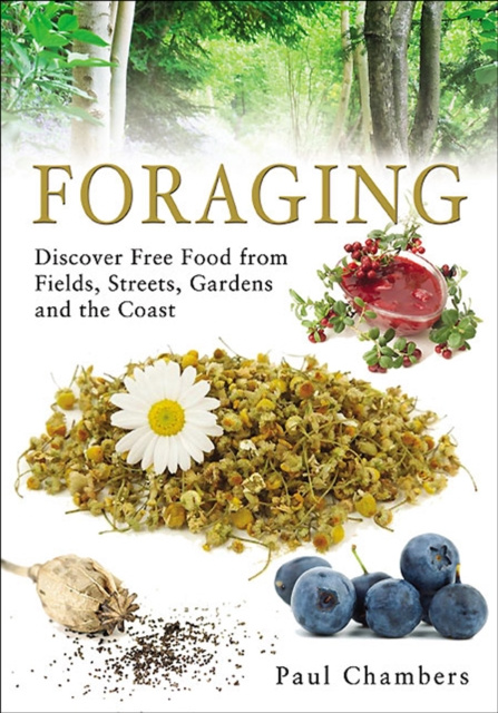 E-knjiga Foraging Paul Chambers