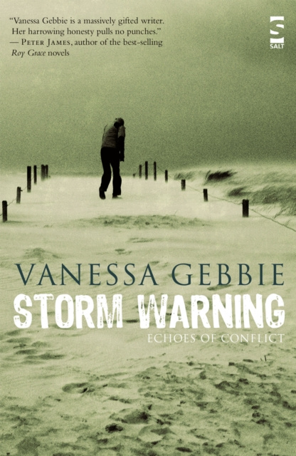 E-book Storm Warning Vanessa Gebbie