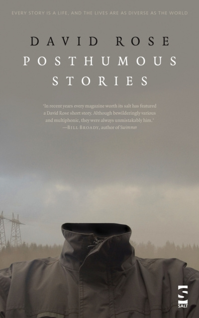ebook Posthumous Stories David Rose