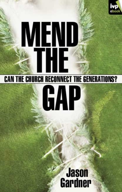 E-book Mend the gap Rachel Gardner