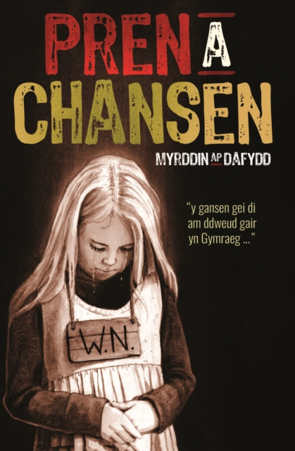 E-knjiga Pren a Chansen Myrddin ap Dafydd