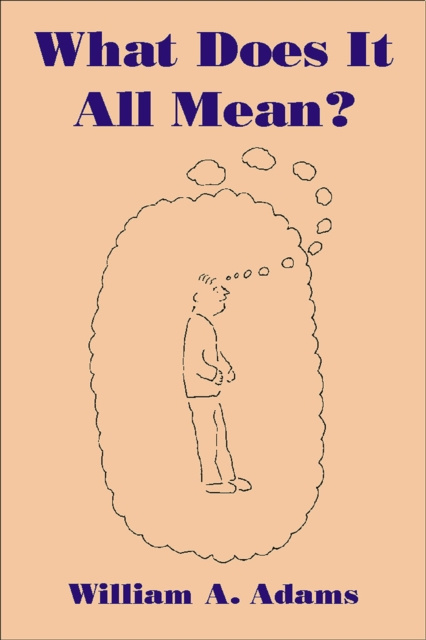 E-knjiga What Does It All Mean? William A. Adams