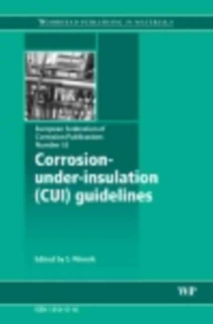 E-book Corrosion Under Insulation (CUI) Guidelines S. Winnik