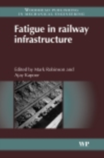 E-kniha Fatigue in Railway Infrastructure Mark Robinson
