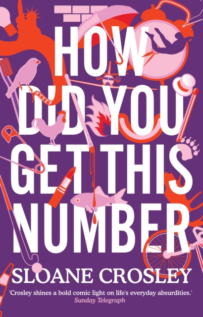 E-knjiga How Did You Get This Number Sloane Crosley