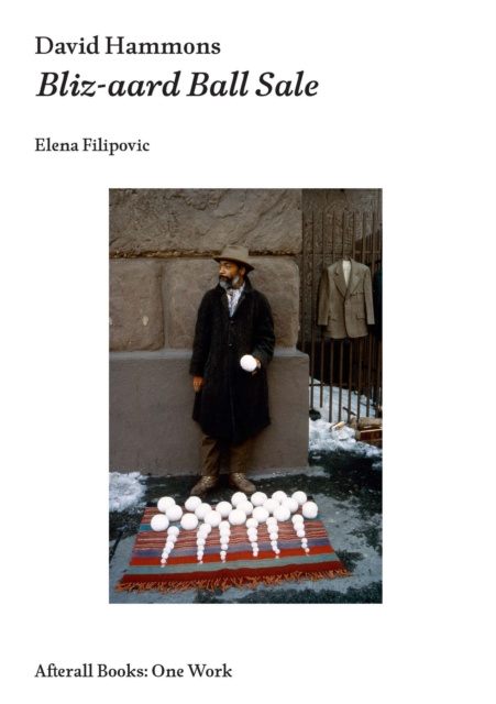 E-book David Hammons Elena Filipovic