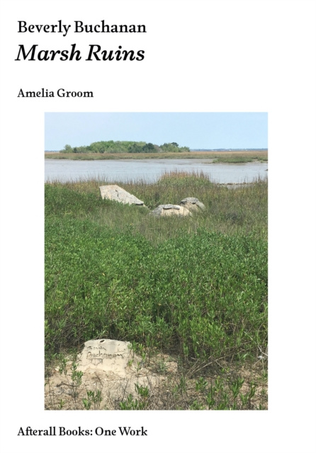 E-book Beverly Buchanan Amelia Groom