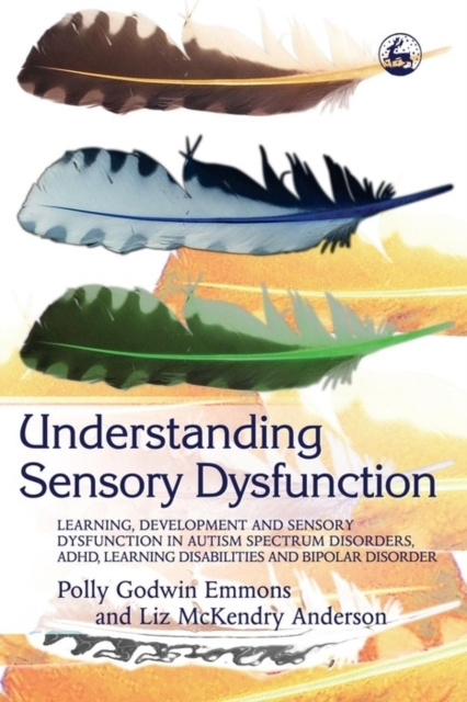 E-knjiga Understanding Sensory Dysfunction Polly Emmons