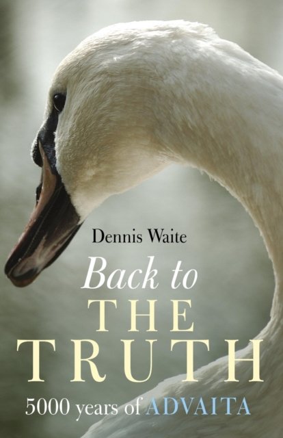 E-kniha Back To The Truth: 5000 Years Of Advaita Dennis Waite