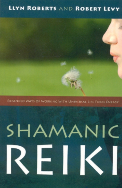 E-kniha Shamanic Reiki: Expanded Ways Of Working Llyn Roberts