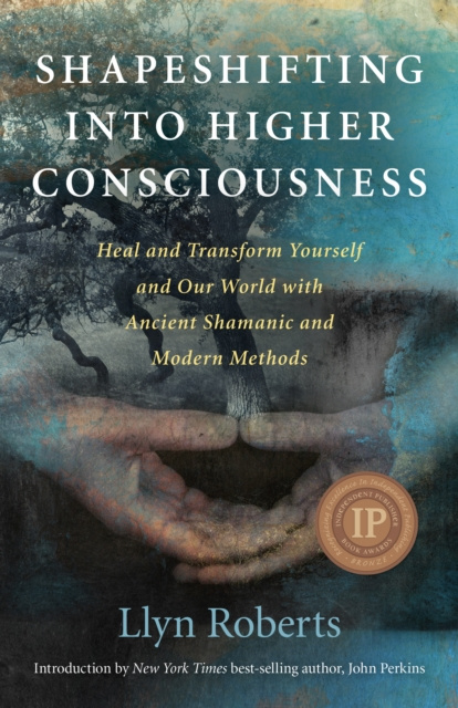 E-kniha Shapeshifting into Higher Consciousness Llyn Roberts