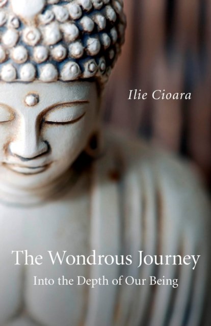 E-kniha Wondrous Journey Ilie Cioara