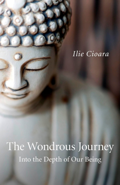 E-book Wondrous Journey Ilie Cioara