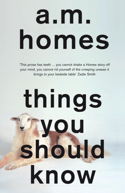 E-knjiga Things You Should Know A.M. Homes