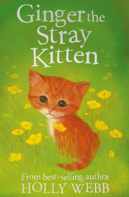 E-knjiga Ginger the Stray Kitten Holly Webb