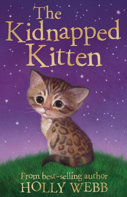 E-Book Kidnapped Kitten Holly Webb