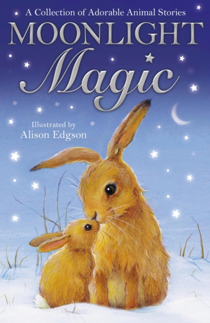 E-knjiga Moonlight Magic Various Authors