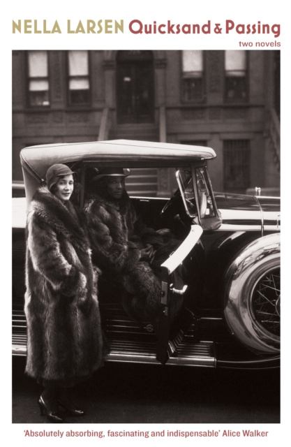 E-book Quicksand & Passing Larsen Nella Larsen