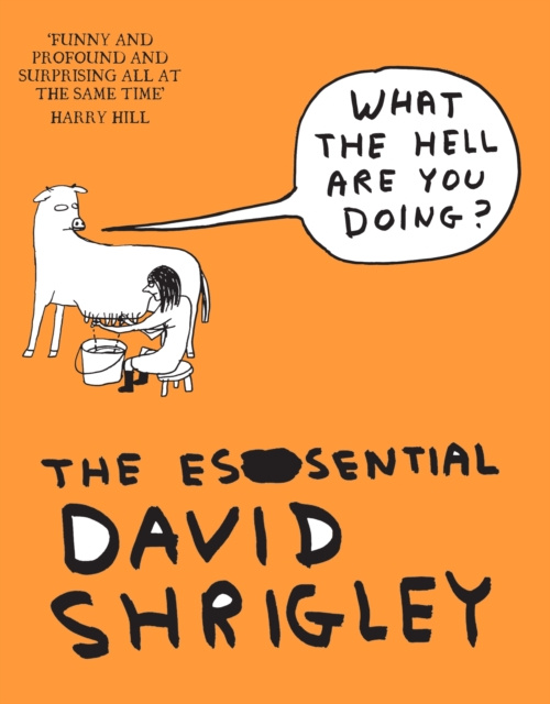 E-kniha What The Hell Are You Doing?: The Essential David Shrigley David Shrigley