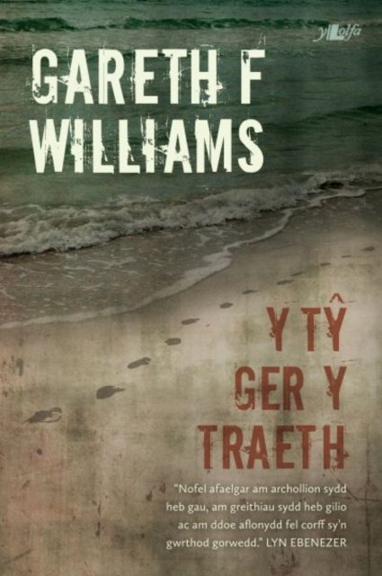 E-kniha Y Ty Ger y Traeth Gareth F Williams
