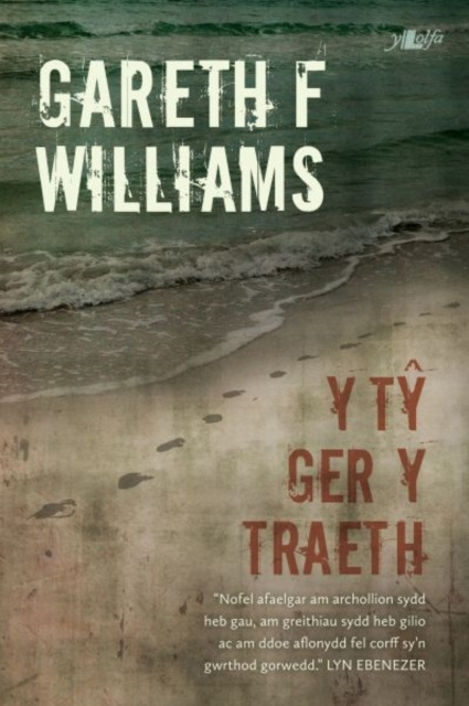 E-book Y Ty Ger y Traeth Gareth F Williams