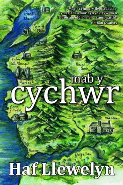 E-kniha Mab y Cychwr Haf Llewelyn