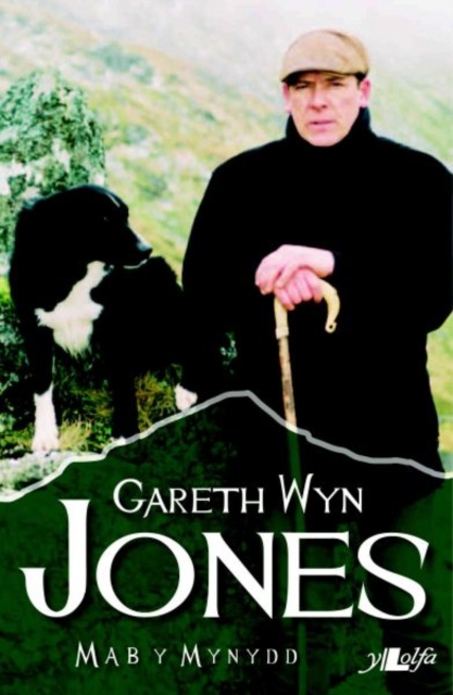 E-kniha Mab y Mynydd Gareth Wyn Jones
