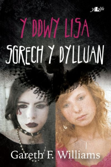 E-kniha Cyfres y Dderwen: Y Ddwy Lisa - Sgrech y Dylluan Gareth F Williams